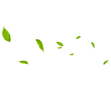 MHL Power Dongfang Boiler Co. , Ltd. (MHDB)