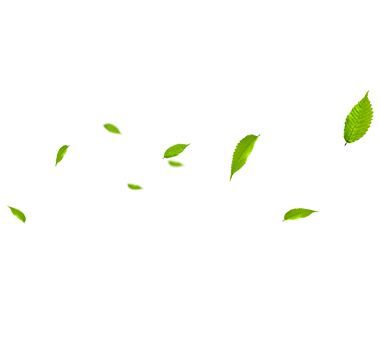 MHL Power Dongfang Boiler Co. , Ltd. (MHDB)