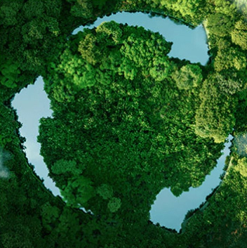 MHL Power Dongfang Boiler Co. , Ltd. (MHDB)